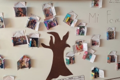 WhatsApp-Image-2025-06-13-at-17.07.38