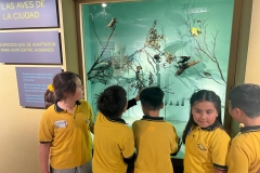 WhatsApp-Image-2025-09-03-at-16.32.40-2