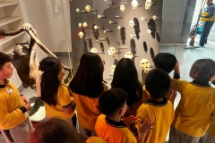 WhatsApp-Image-2025-09-03-at-16.32.40