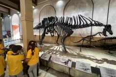 WhatsApp-Image-2025-09-03-at-16.32.41-1