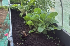 4c0f48c9-ffbb-4f5c-8e60-d2c8277b5430