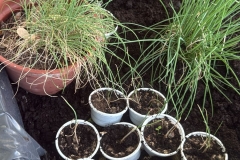 a11993d2-2099-485c-b817-bd6216031b26