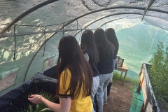 e5407e94-4b22-44a4-aa61-7bee01011eb9