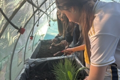 f3663762-c36e-47fd-aa64-bd86c8e78f33