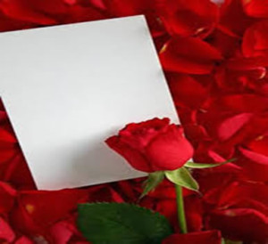 flor2
